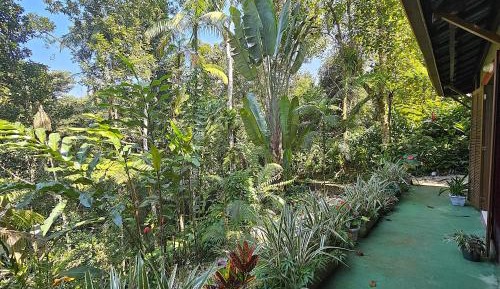 Family Suite with Balcony