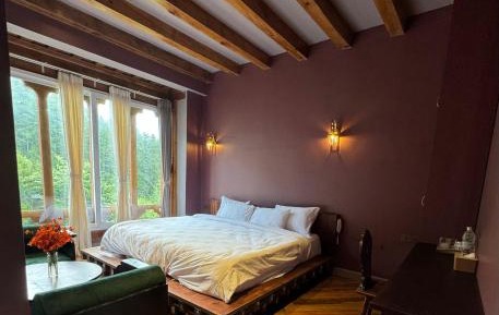 Double Room with Mountain View