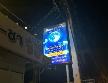 Bunk Bed in Mixed Dormitory Room