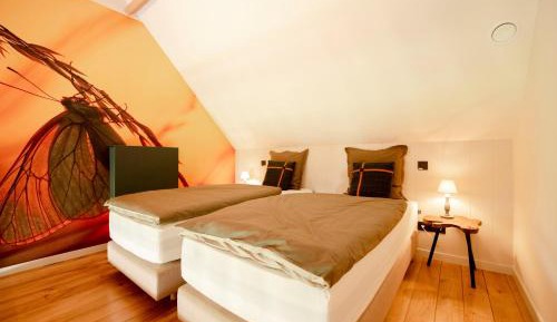 Deluxe Double or Twin Room with Garden View