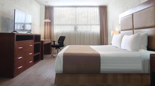 Superior Room, 1 King
