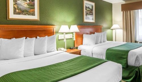 Queen Room with Two Queen Beds - Non-Smoking