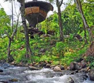 Tree House