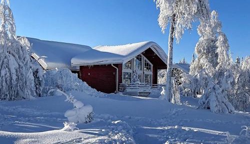 One-Bedroom Holiday Home