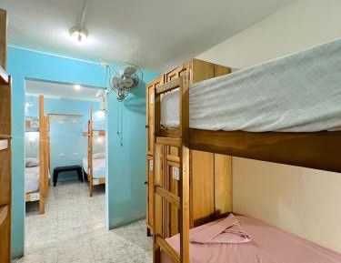 Bed in 8-Bed Dormitory Room