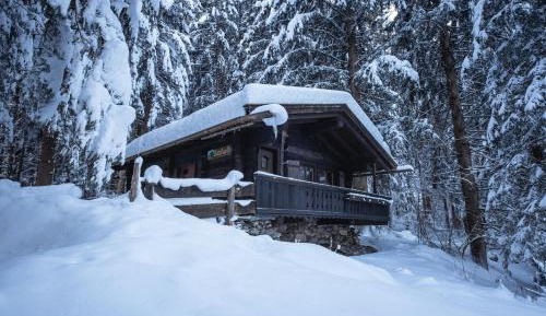 One-Bedroom Chalet