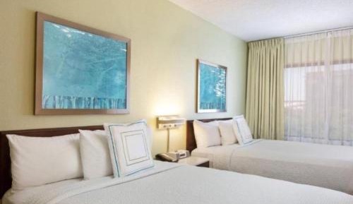 Double Suite with Sofa Bed