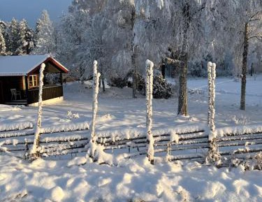 Cottage nr 101