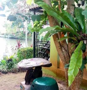 Double Room with Garden View