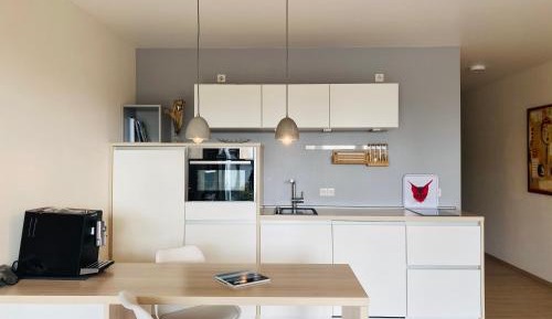 Apartment with Terrace