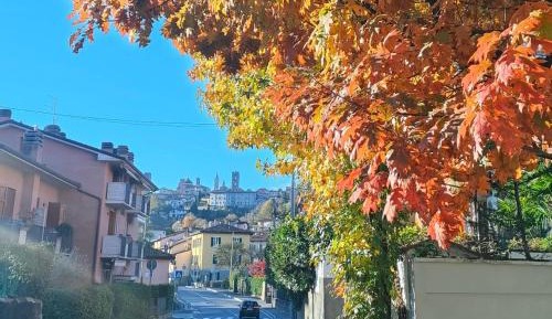 One-Bedroom Apartment with Terrace