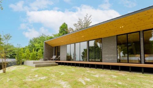 101 / No Pets Allowed