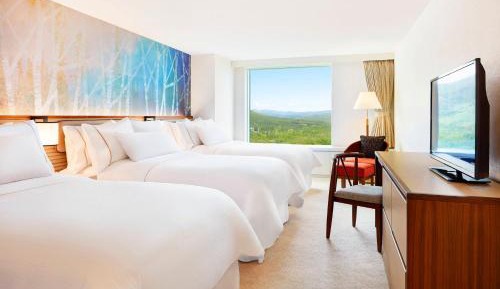 Luxury 3 Single beds  1 Bedroom Suite - Two story
