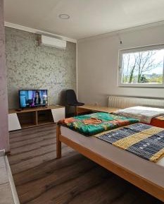 Standard Twin Room with Shared Bathroom