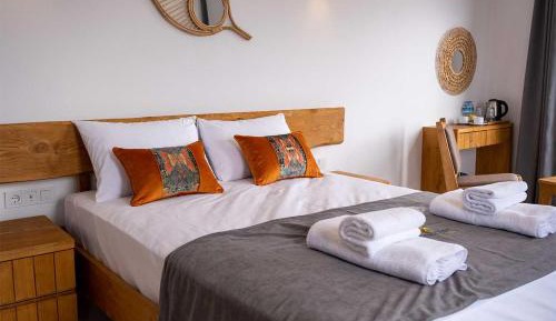 Standard Double Room