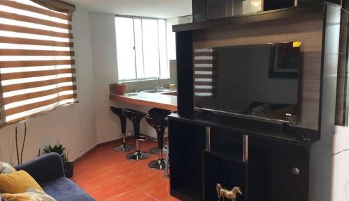 Duplex Apartment