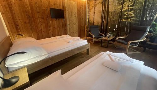 Deluxe Double Room with Extra Bed