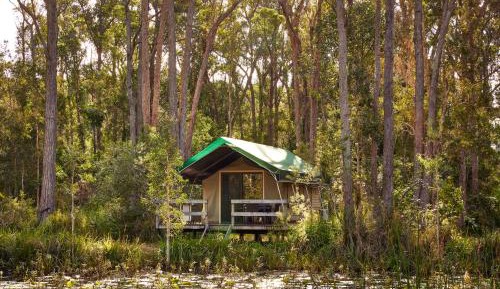 Lagoon Safari Tent