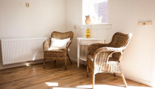 Deluxe Double or Twin Room with Garden View