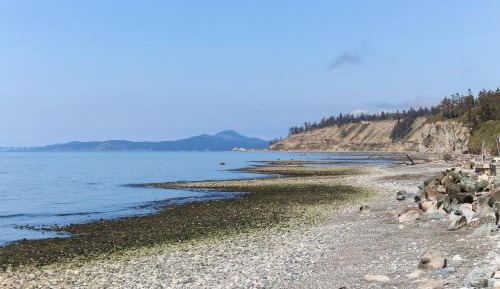 One Bedroom Apartment