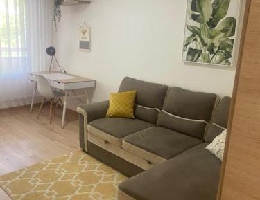 Family Studio