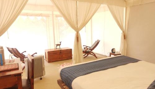 Premium Luxury Tent