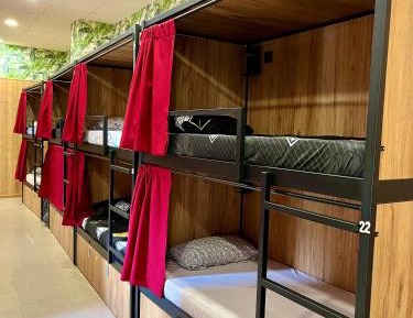 Bunk Bed in Mixed Dormitory Room