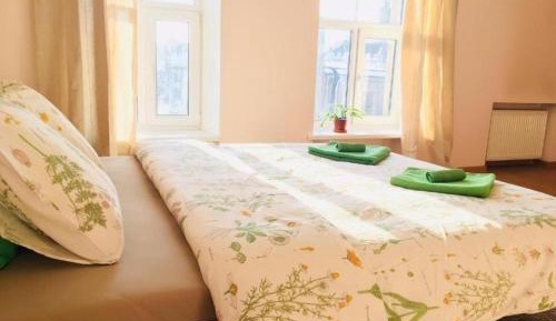Double Room with Shared Bathroom