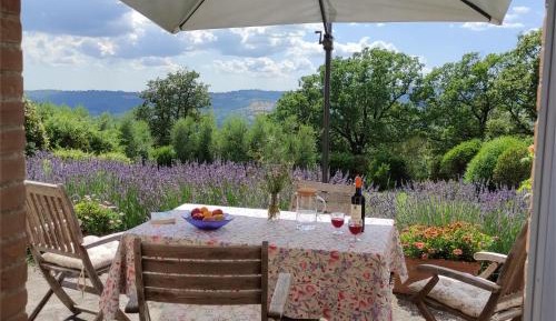 One-Bedroom Apartment with Terrace- Capitorio-