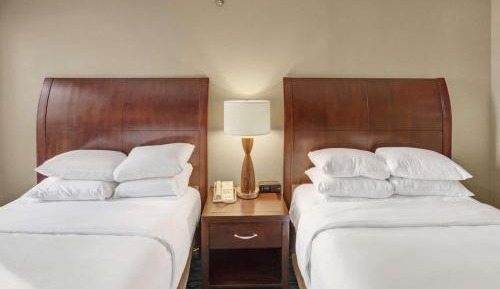 Double Room - Non-Smoking 