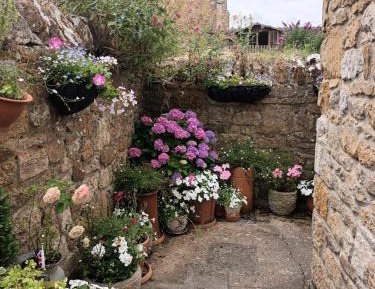 Double Room with Garden View