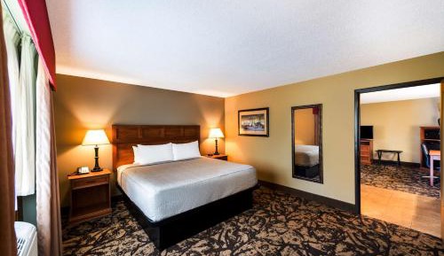 One-Bedroom King Suite with Sofa Bed - Non-Smoking