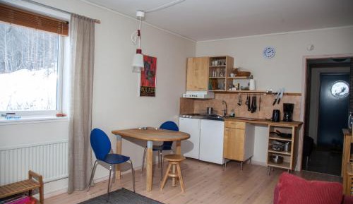 Studio with Sofa Bed