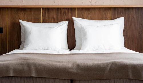 Deluxe Double or Twin Room with City View