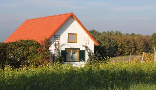 Studio with Terrace