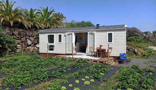 Mobile Home