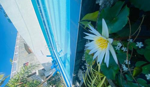 Family Room with Sea View