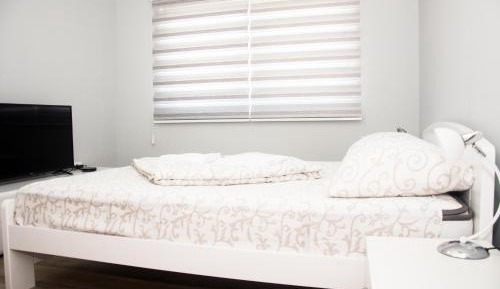 King Studio with Sofa Bed