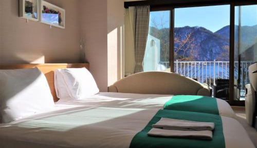 Deluxe Twin Room with Lake View