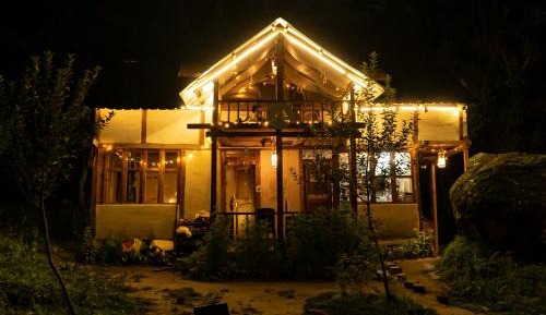 Single Bed in Mixed Dormitory Room