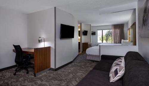 Studio, 2 Queen, Sofa bed