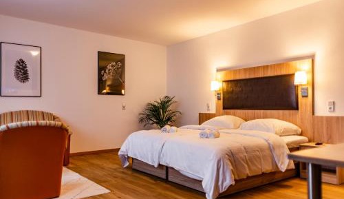 Double or Twin Room - Disability Access
