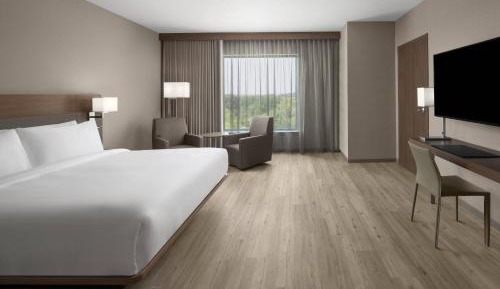 Executive King Suite