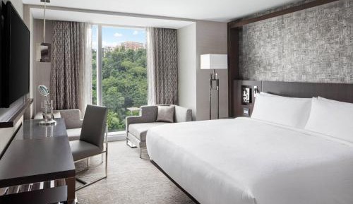 Guest Room, 1 King