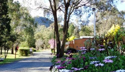Double Room with Patio