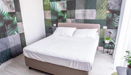 Basic Triple Room