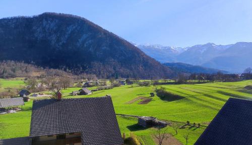 Apartment with Mountain View