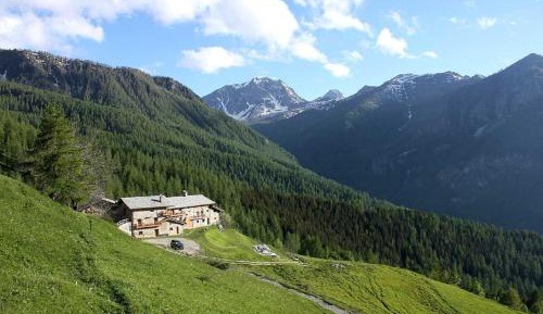 One-Bedroom Chalet
