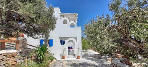 Villa with Sea View