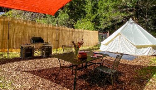 Orchard Tent